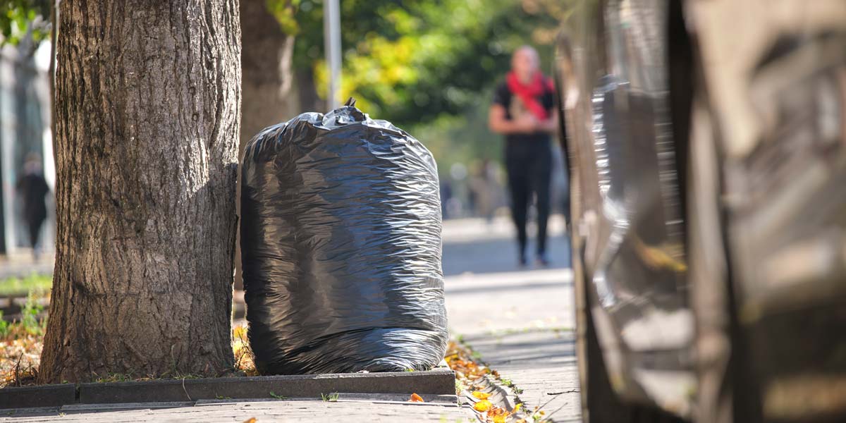 Garbage bag at curb