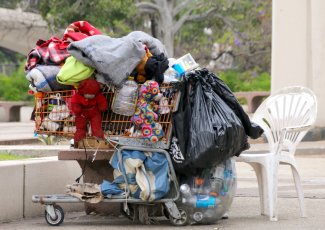 Belongings in a shopping cart