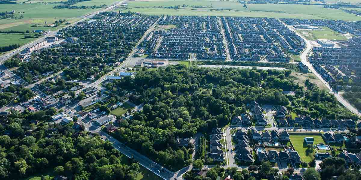 Aerial view of houses in Whitby