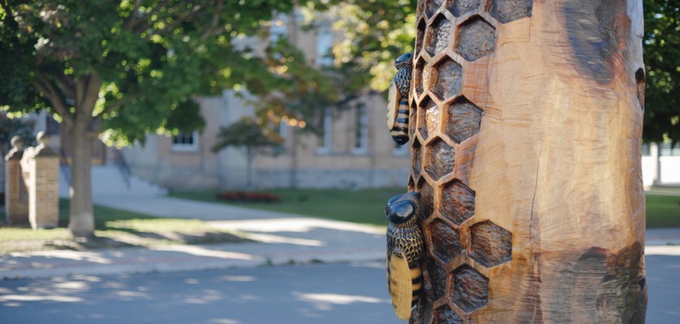 Been Tree Carving In Downtown Whitby 